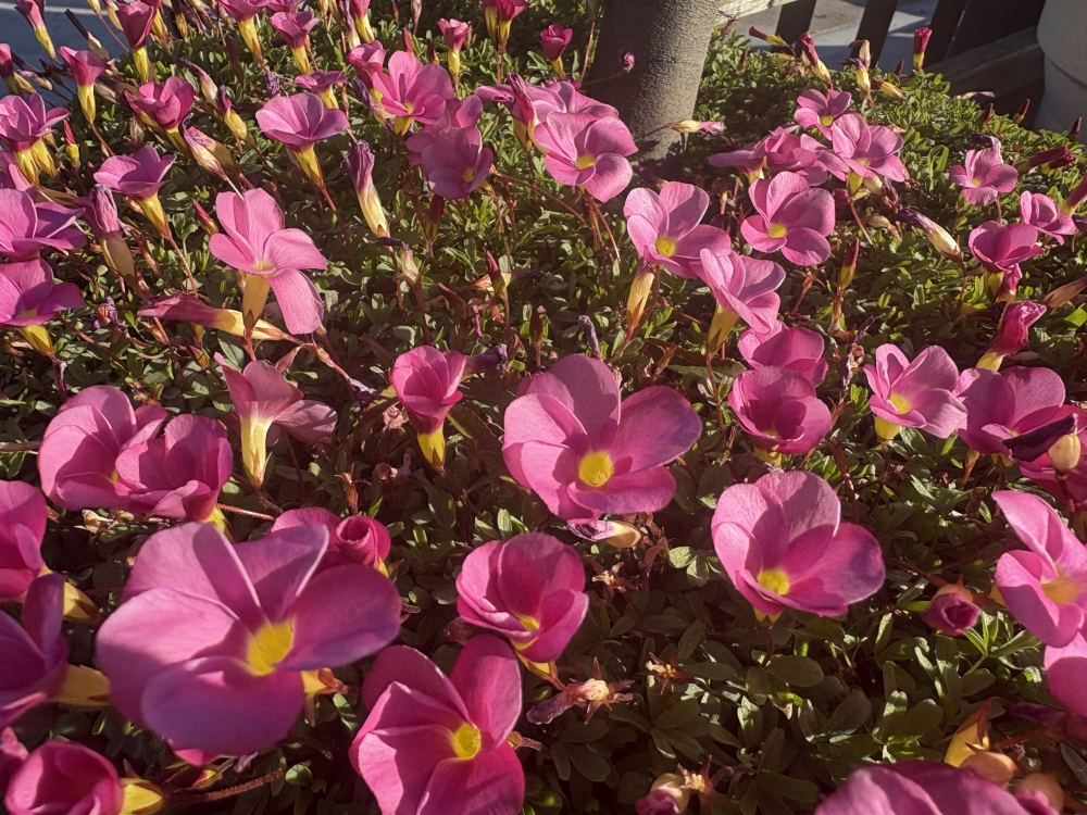 �����ǽ���������к���Ϣ����