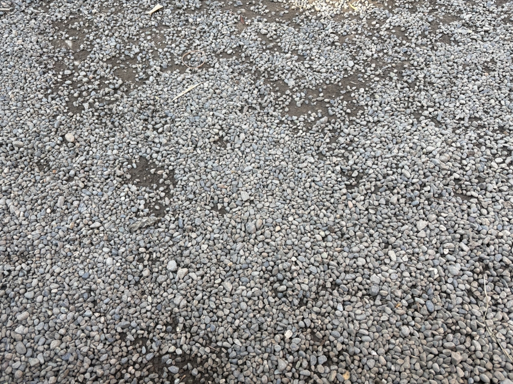 �����ǽ���������к���Ϣ����