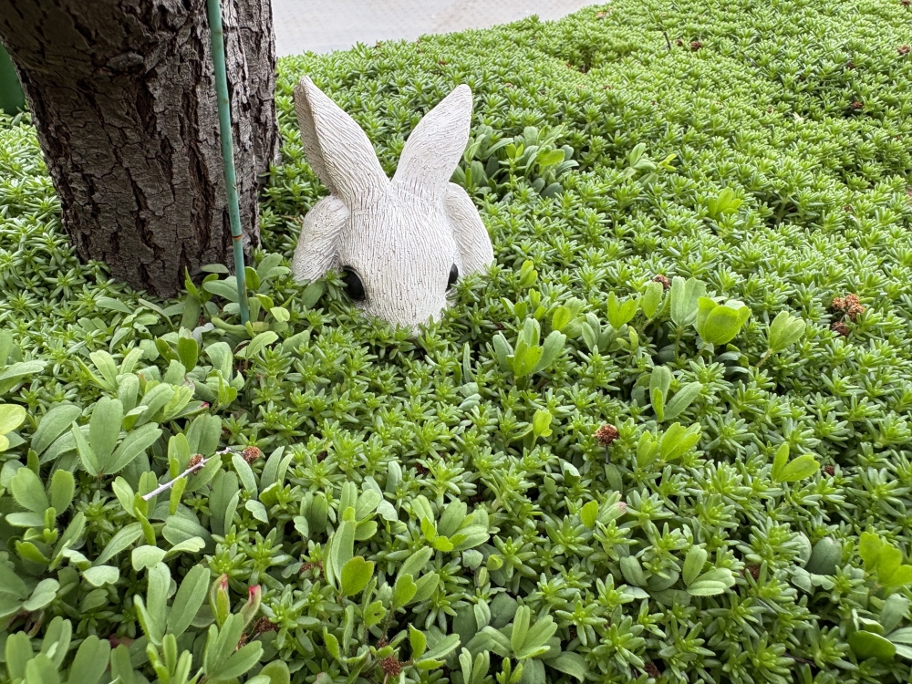 ��Ϣ����