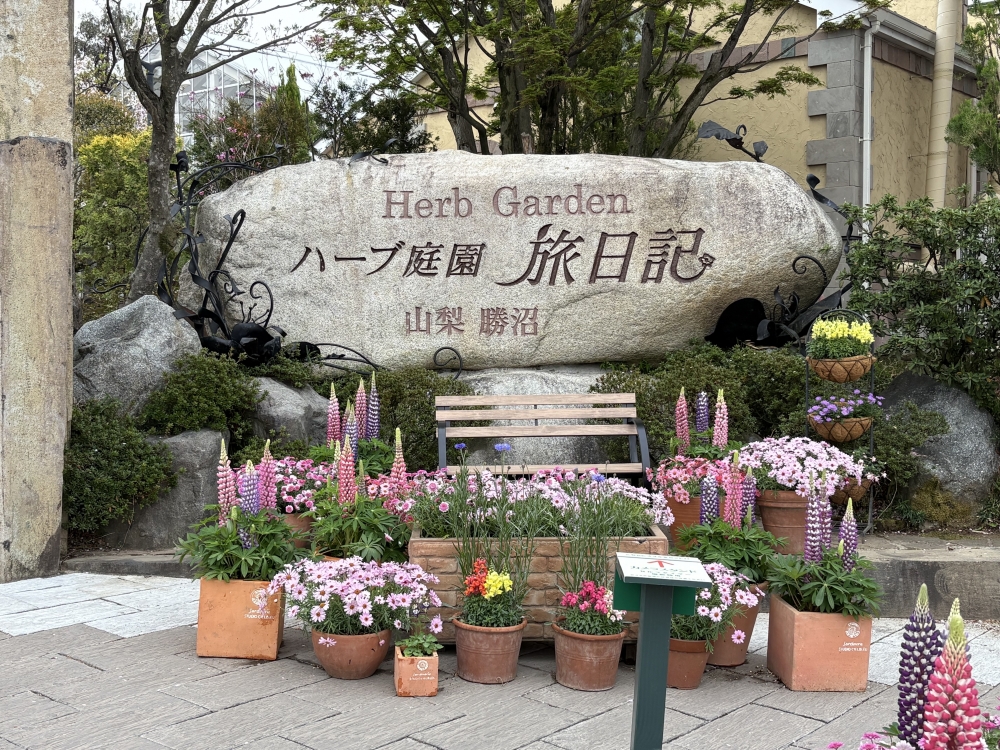 ��Ϣ����