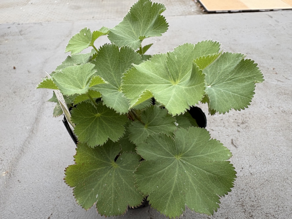 ��Ϣ����