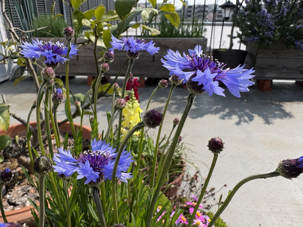 ��Ϣ����