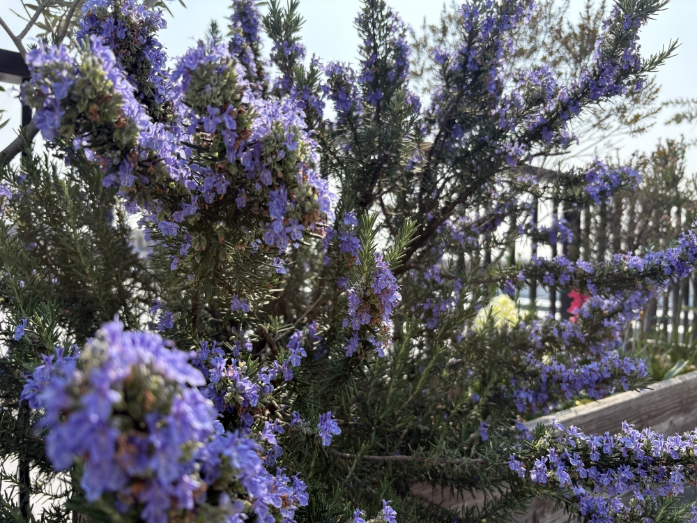 ��Ϣ����