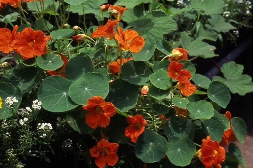 �����ε����Ϣ����