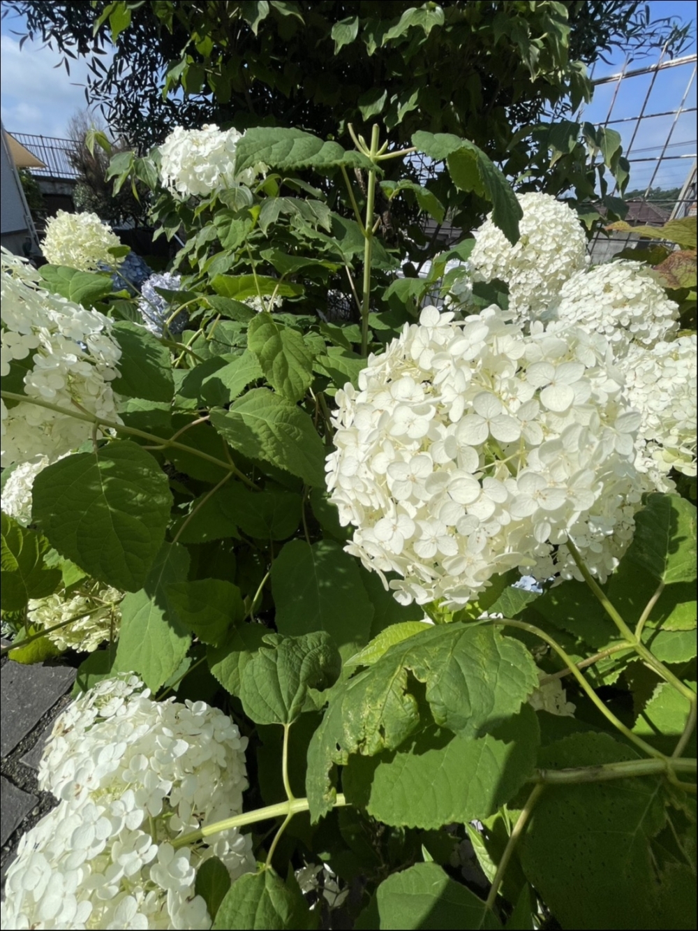 関連画像 関連画像