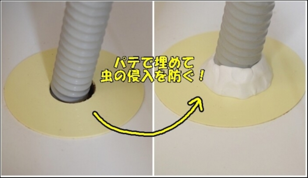 ★害虫対策★関連画像 ★害虫対策★関連画像