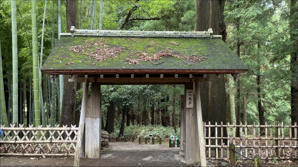 関連画像 関連画像
