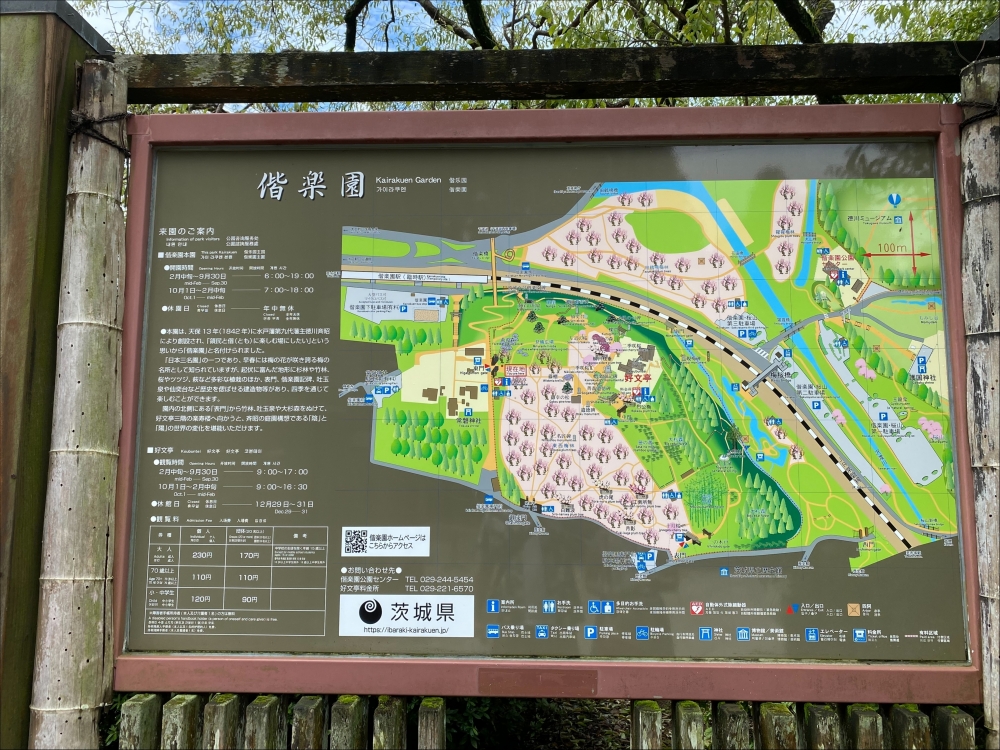 関連画像 関連画像