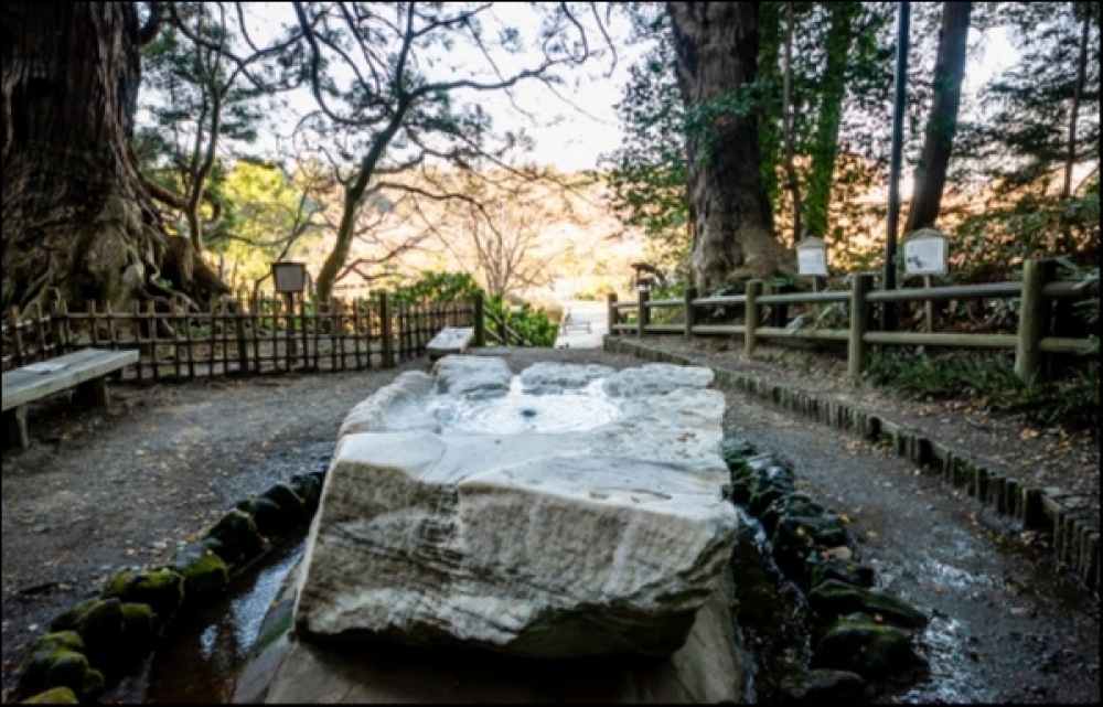 関連画像 関連画像