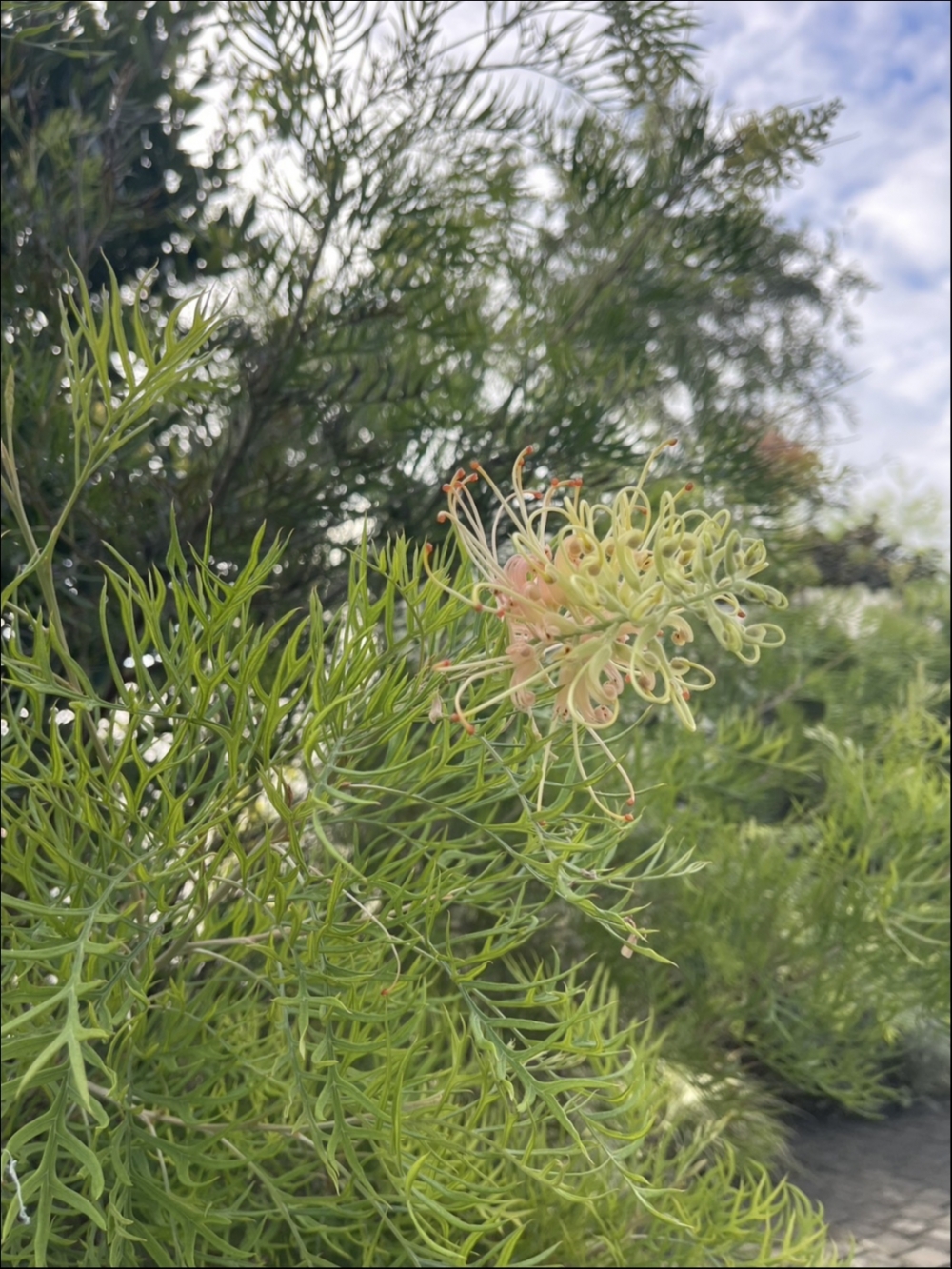 関連画像 関連画像