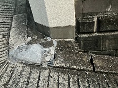 7-IMG_9039