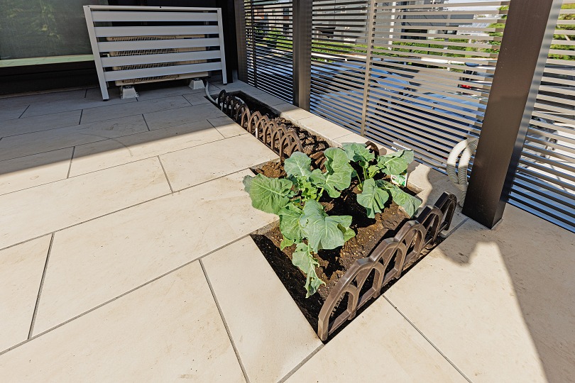 �ܹ���_����