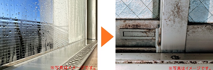 ��Ϫ������