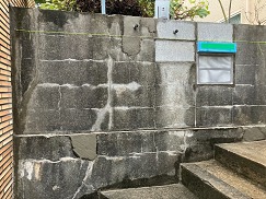 IMG_8577 (1) IMG_8577 (1)