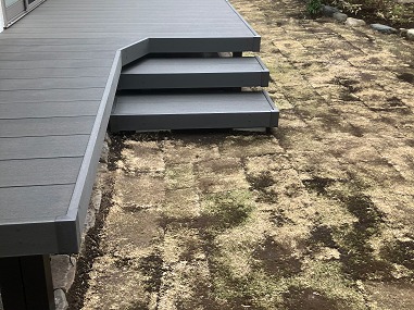 ŷ������TM9��������