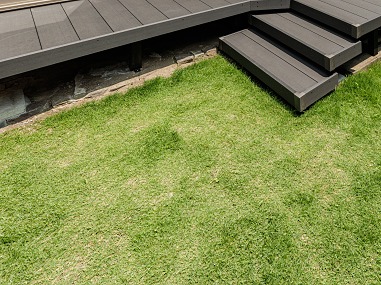 ŷ������TM9��Ĺ