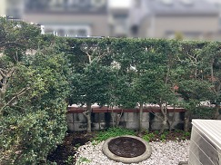 �����ͥ��󥱡���03