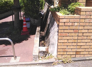 擁壁?植物撤去 擁壁?植物撤去