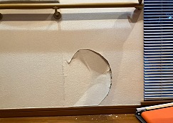 �ܹ���_���佤_�꤬��������