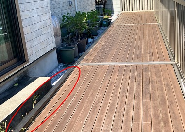 �Х륳�ˡ��ǥå��ؤ�����ʬ